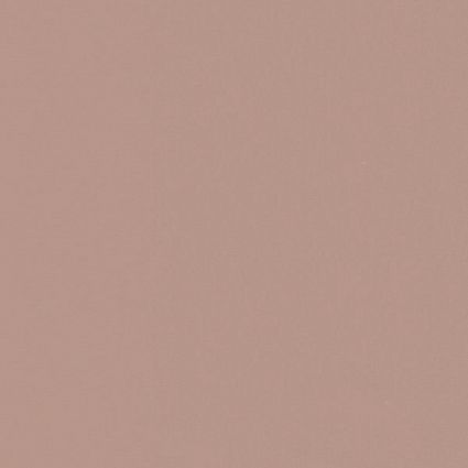 Splendor - PinkChampagne Allure NFR