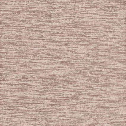 Zenith - CameoPink Allure NFR